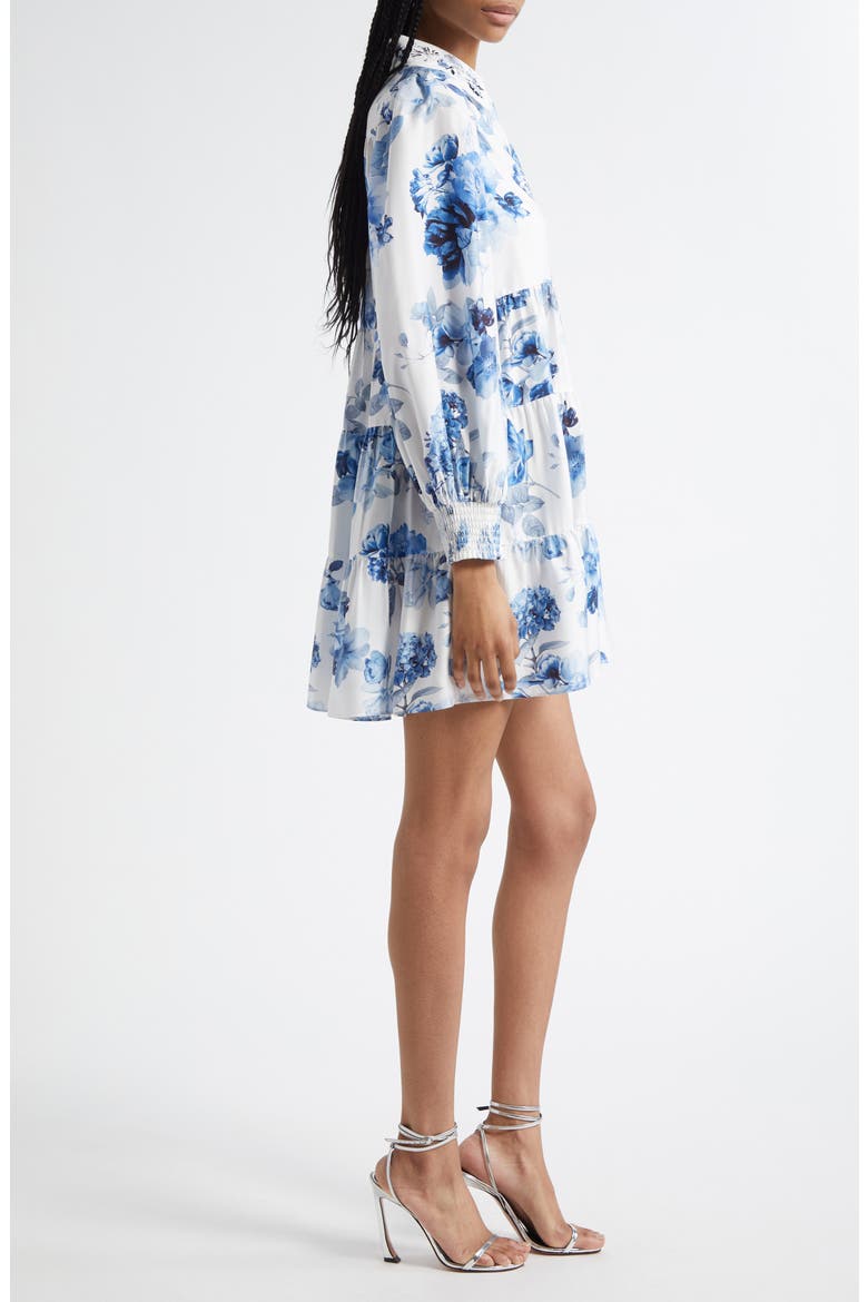 Junia Embroidered Collar Long Sleeve Minidress, Alternate, color, AFFECTION SMALL