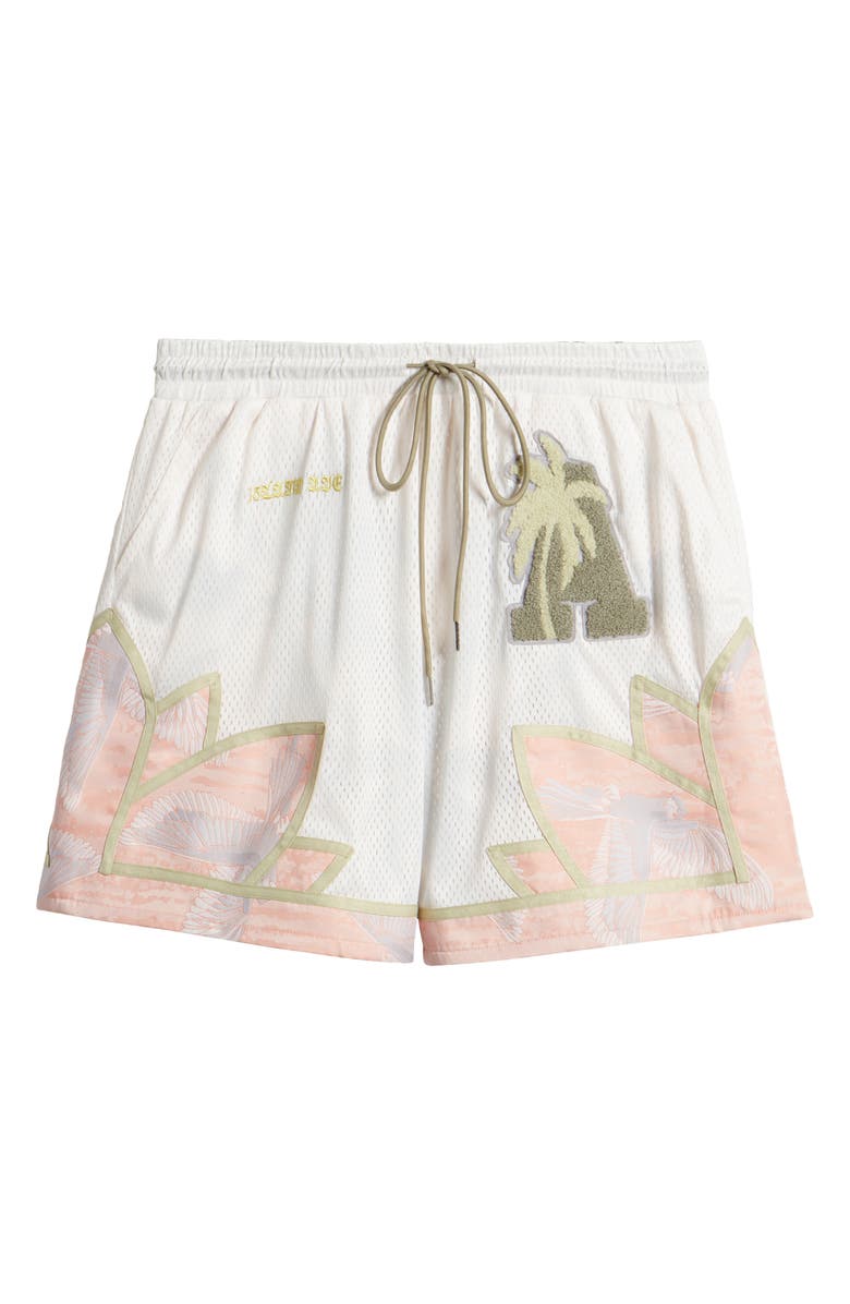 Island Avenue Kakapo Mesh Basketball Shorts, Alternate, color,