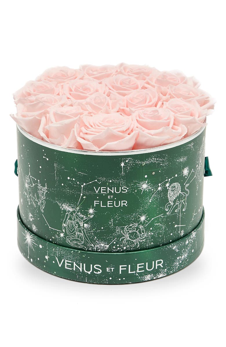 Venus ET Fleur Small Round Holiday Zodiac Pink Eternity Roses<sup>®</sup>, Main, color, Blush