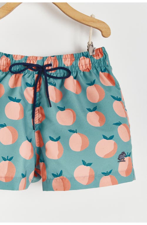 Babycottons Beach Swim Trunks In Green