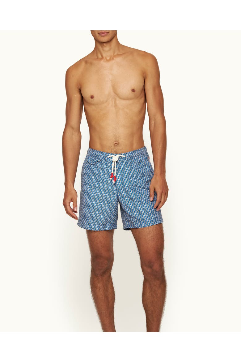 Standard Printed Drawcord Swim Shorts, Alternate, color, California Blue