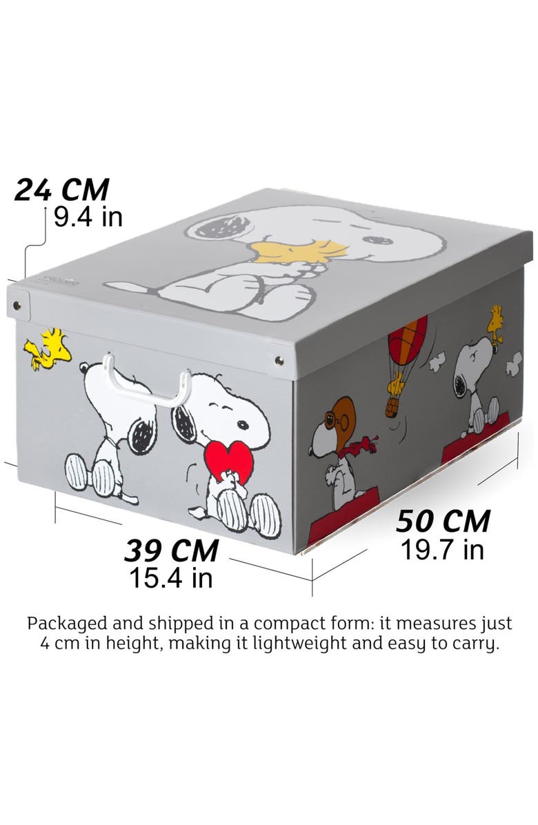 Lavatelli 6 Pack Large Sized Storage Box, Alternate, color, Multicolored