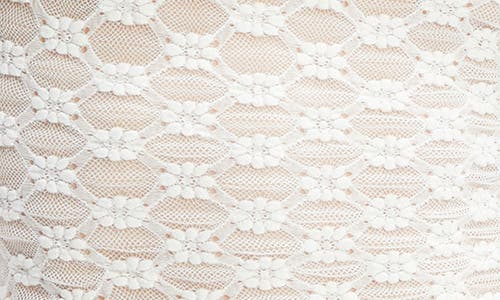 Bardot Adoni Off The Shoulder Embroidered Sheer Mesh Top In Orchid White