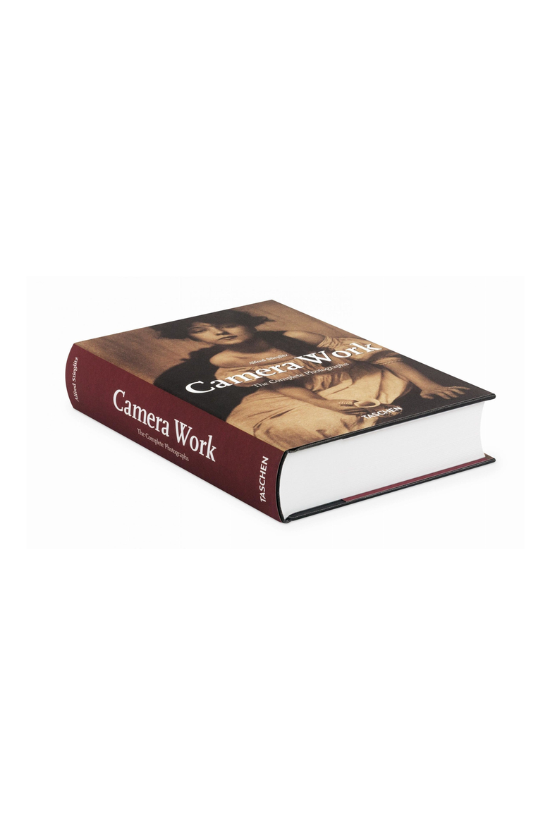 Alfred Stieglitz Camera Work English French German Book, Alternate, color, multicolor