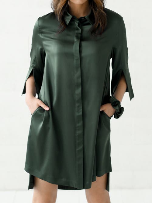 Alas Silk Long Shirt Dress In Green