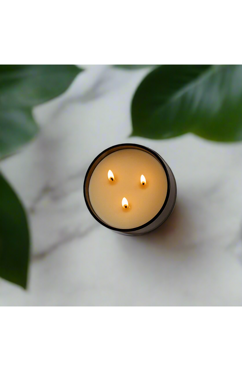 SLOW NORTH Rosemary + Lemon - Signature 3-Wick Candle, Alternate, color, Brown