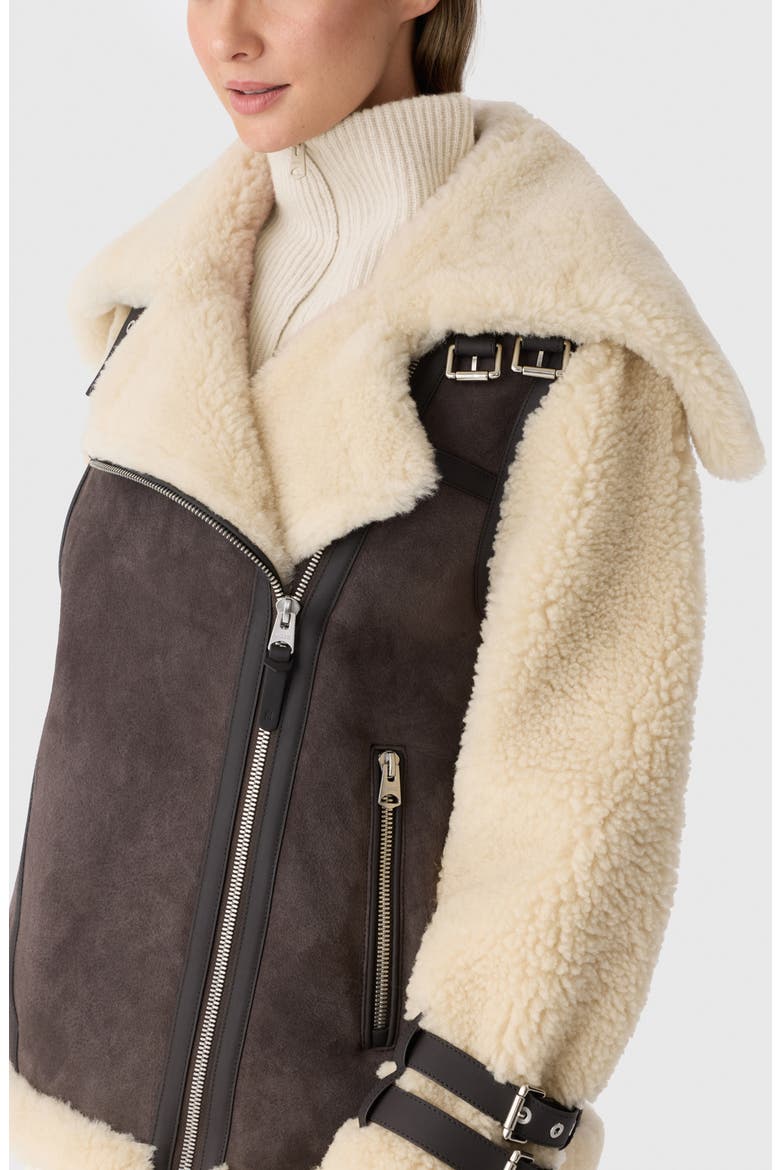 Rhoslyn Oversize Genuine Shearling Moto Jacket, Alternate, color, COFFEE-NATURAL