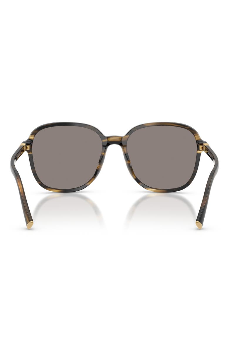 Miu Miu 58mm Pillow Sunglasses, Alternate, color, Striped Loden / Dark Grey