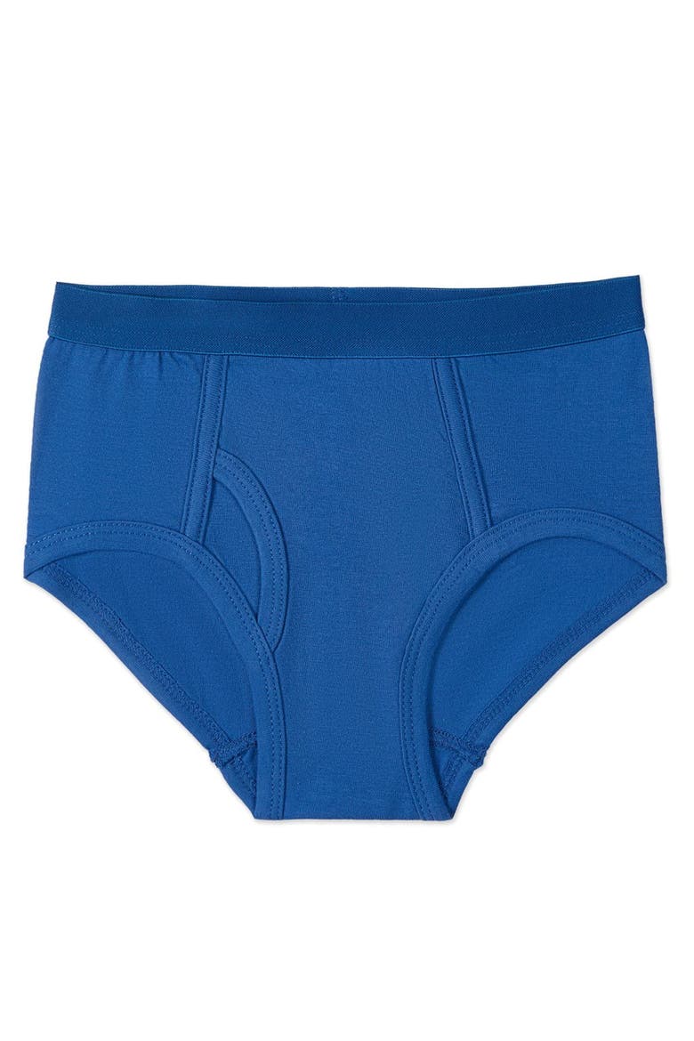 5 Pair Out Of The Blue Rich Briefs, Alternate, color, Blue Multi