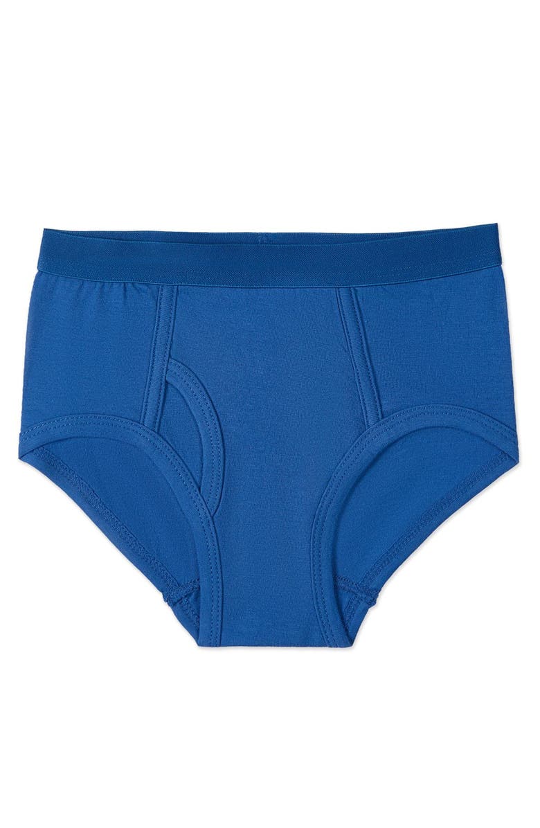 MeMoi 5 Pair Out Of The Blue Rich Briefs, Alternate, color, Blue Multi