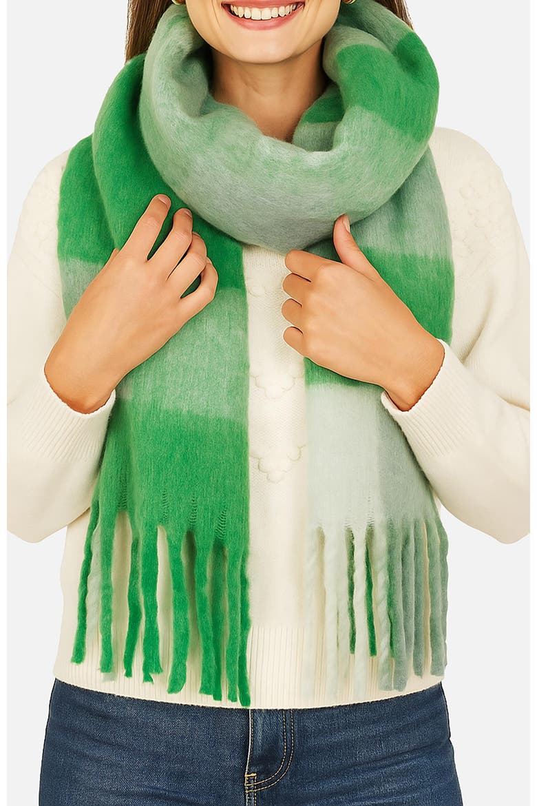Check Soft Tassel Scarf, Alternate, color, Multi