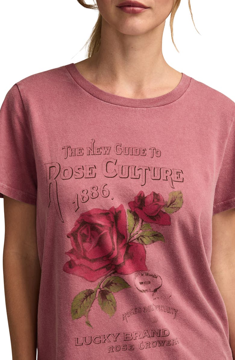 Lucky Brand Rose Culture Graphic Cotton T-Shirt, Alternate, color, Rose Wine