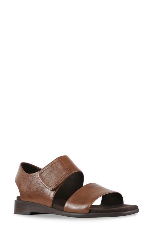 Munro Nissa Ankle Strap Sandal In Dark Brown