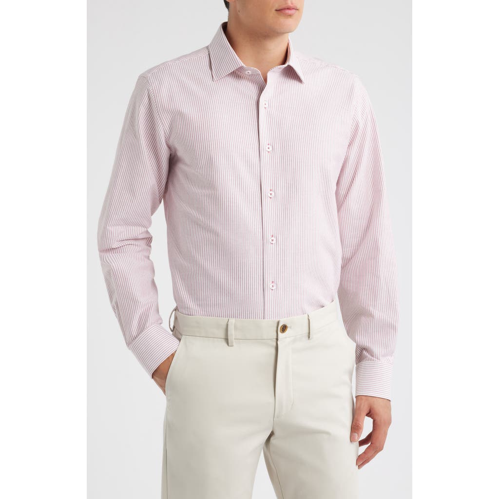 Lorenzo Uomo Trim Fit Stripe Cotton Oxford Cloth Dress Shirt In Pink