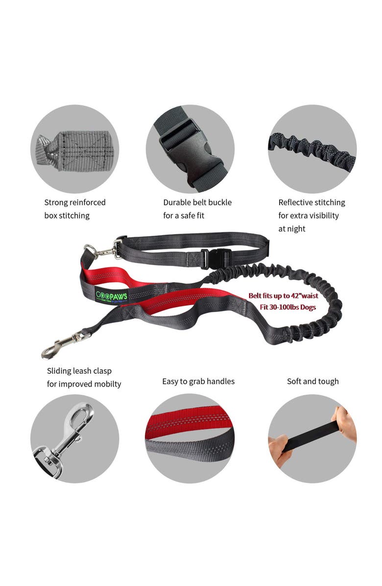 JESPET Hands Free Bungee Dog Leash, Alternate, color, Multicolored