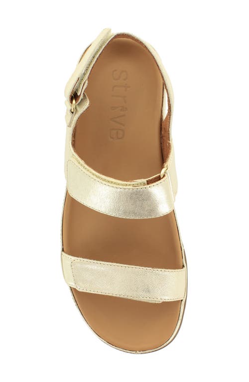 Strive Kona Ii Slingback Sandal In Gold