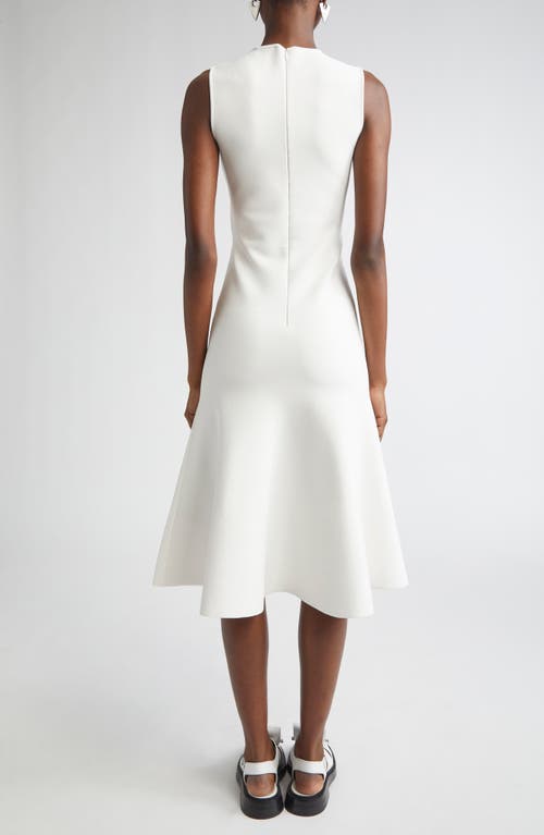 Alexander Mcqueen Mcqueen Banshee Embroidery A-line Midi Dress