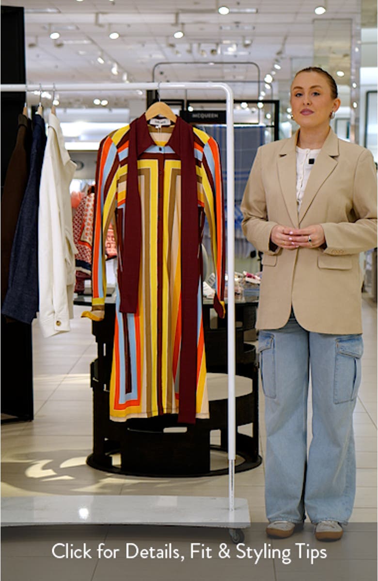 The Diane Stripe Long Sleeve Jersey Shirtdress, sales video thumbnail