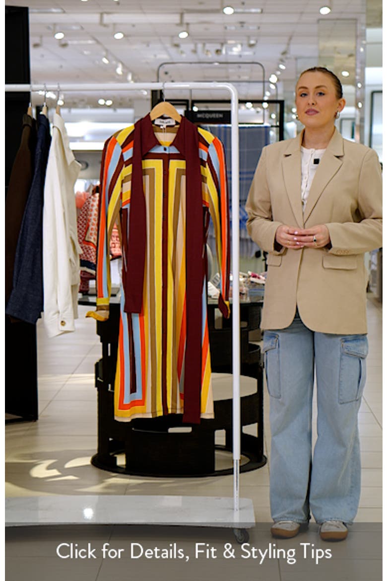 The Diane Stripe Long Sleeve Jersey Shirtdress video