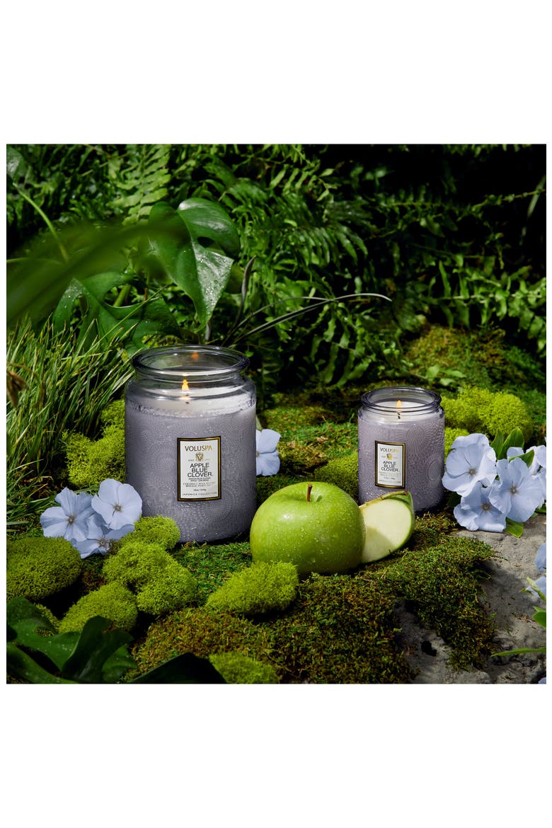 Apple Blue Clover Small Jar Candle, Alternate, color, APPLE BLUE CLOVER