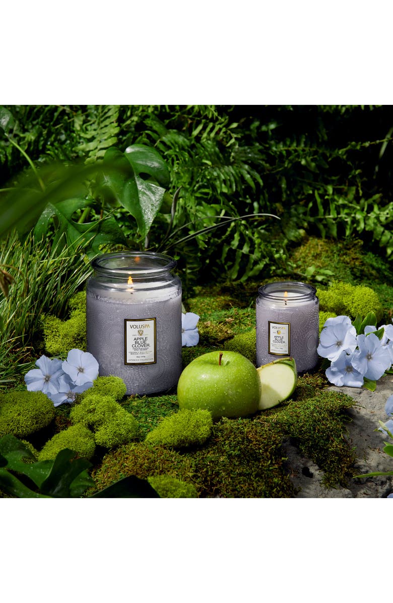 Voluspa Apple Blue Clover Small Jar Candle, Alternate, color, 