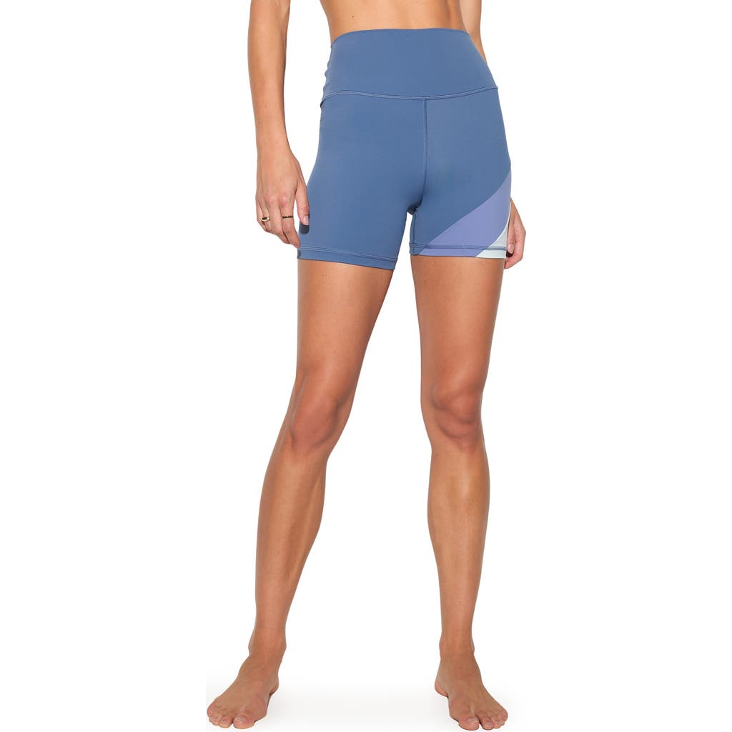 Spiritual Gangster Diem Bike Shorts In Blue