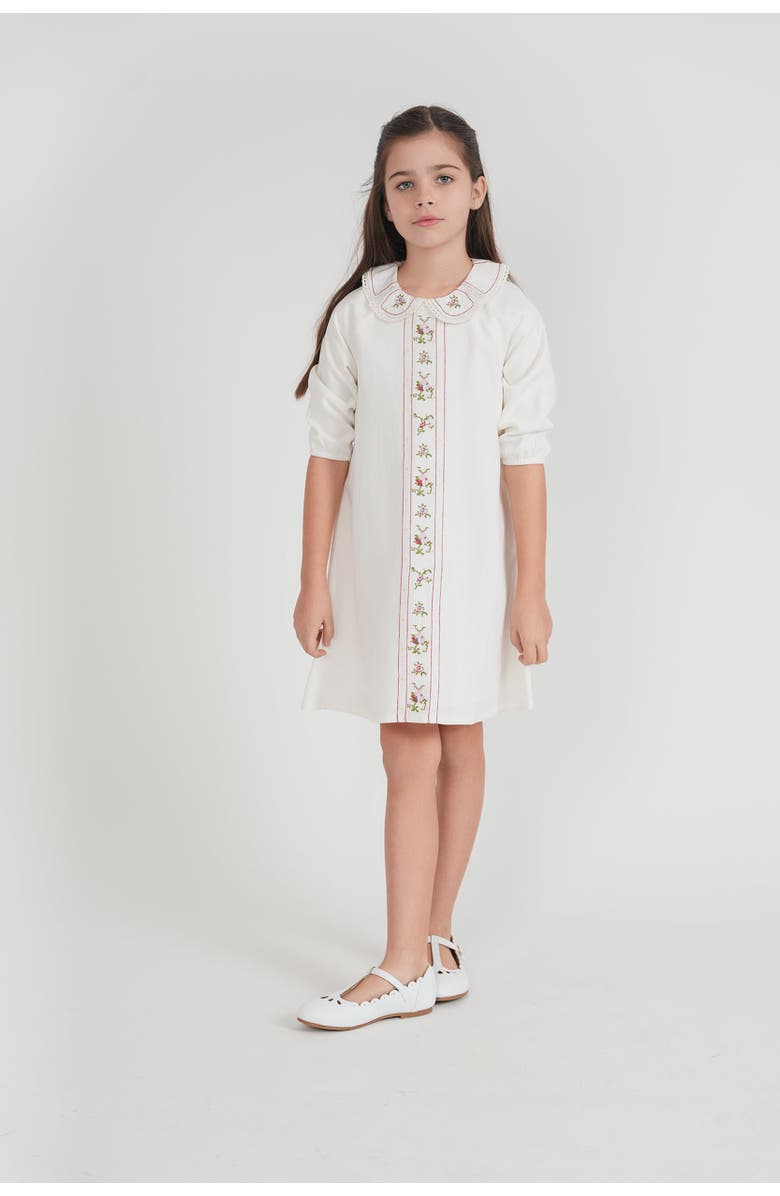 Space Grey Embroidered Linen Dress with Lace Collar, Alternate, color, Ivory