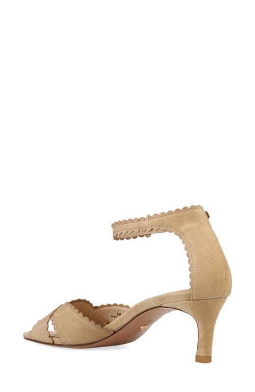 Pelle Moda Umelo Kitten Heel Ankle Strap Sandal In Latte