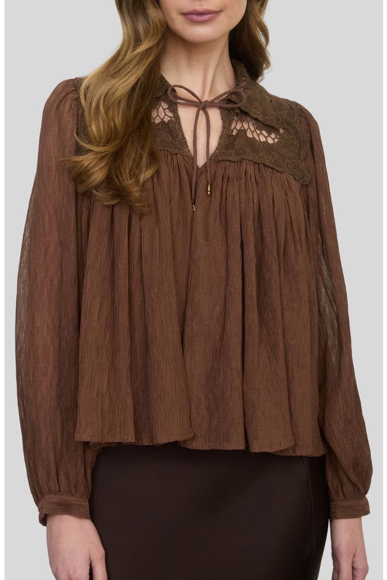 Lace Detail Tie Neck Top, Main, color, BROWN