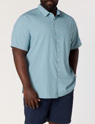 Harbor Bay by DXL Big & Tall Microfiber Striped Sport Shirt V2