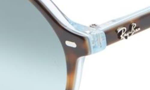 Ray Ban Ray-ban Thalia 53mm Square Sunglasses In Brown