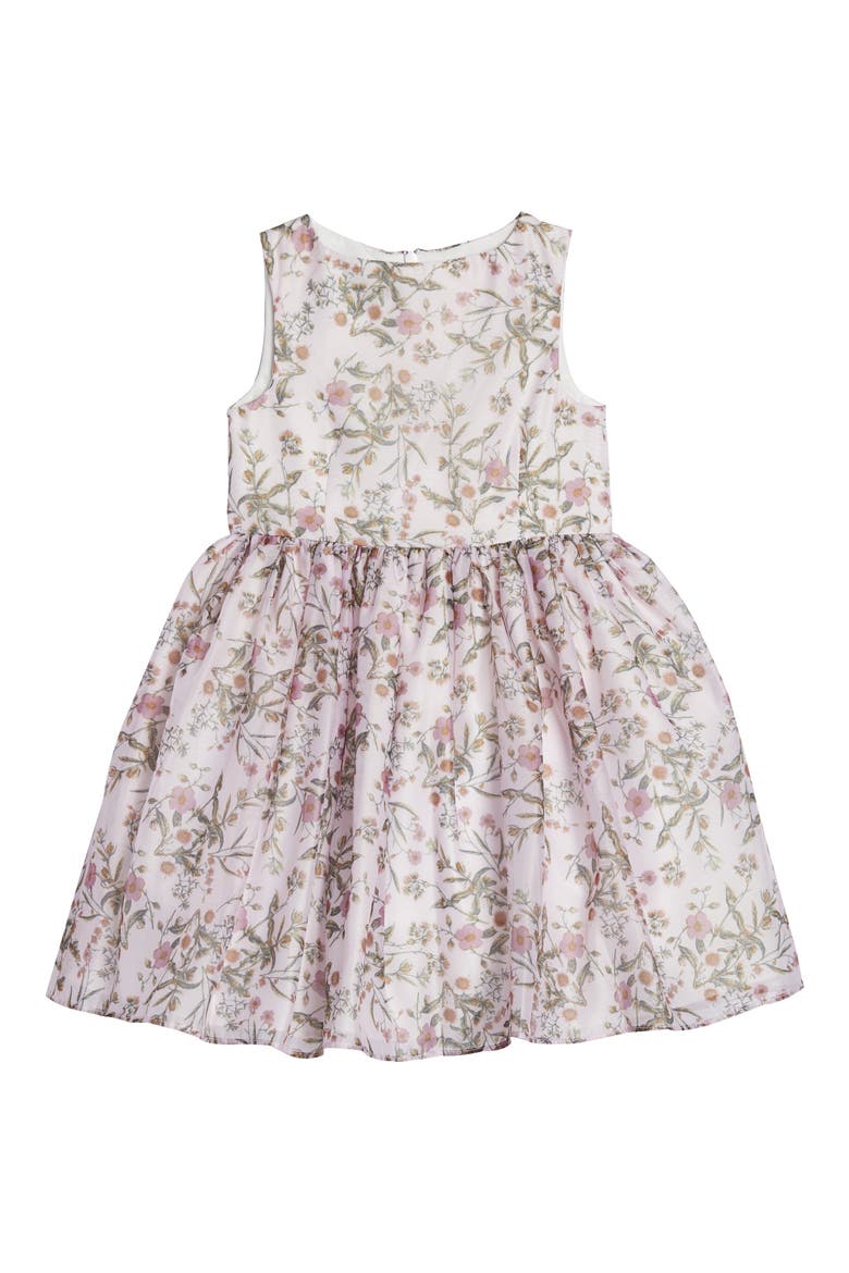 Floral Organza Dress, Main, color, BLUSH/ GREEN