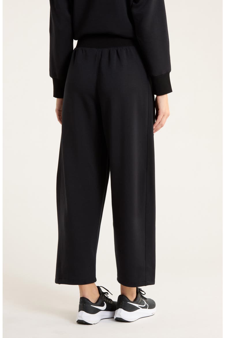 Brushed AirEssentials® Luxe Ankle Pants, Alternate, color, VERY BLACK