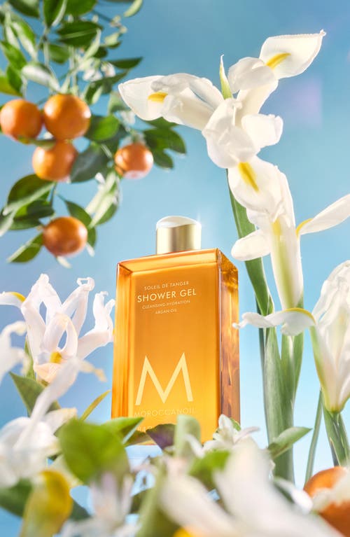 Moroccanoil Shower Gel, Soleil De Tanger 8.5 Fl. Oz. In Soleil De Tanger
