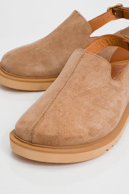 Forever & Always Shoes Laby Leather Clogs In Cognac Suede Leather