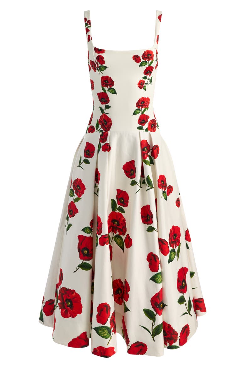 Adley Poppy Print Sleeveless Drop Waist Maxi Dress, Alternate, color, SUMMER POPPY