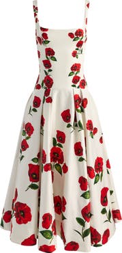 Alice + Olivia Adley Poppy Print Sleeveless Drop Waist Maxi Dress
