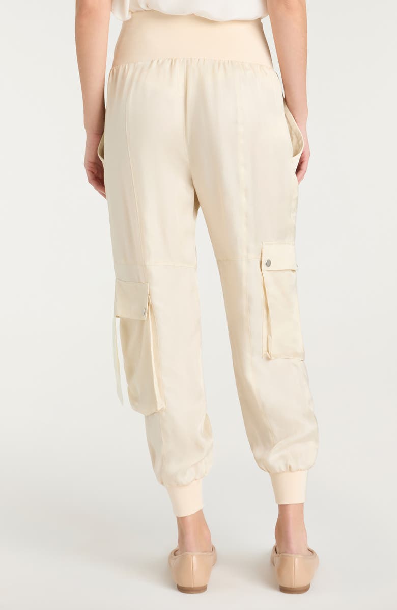 Cinq à Sept Harmony Side Snap Pants, Alternate, color, Light Plaster