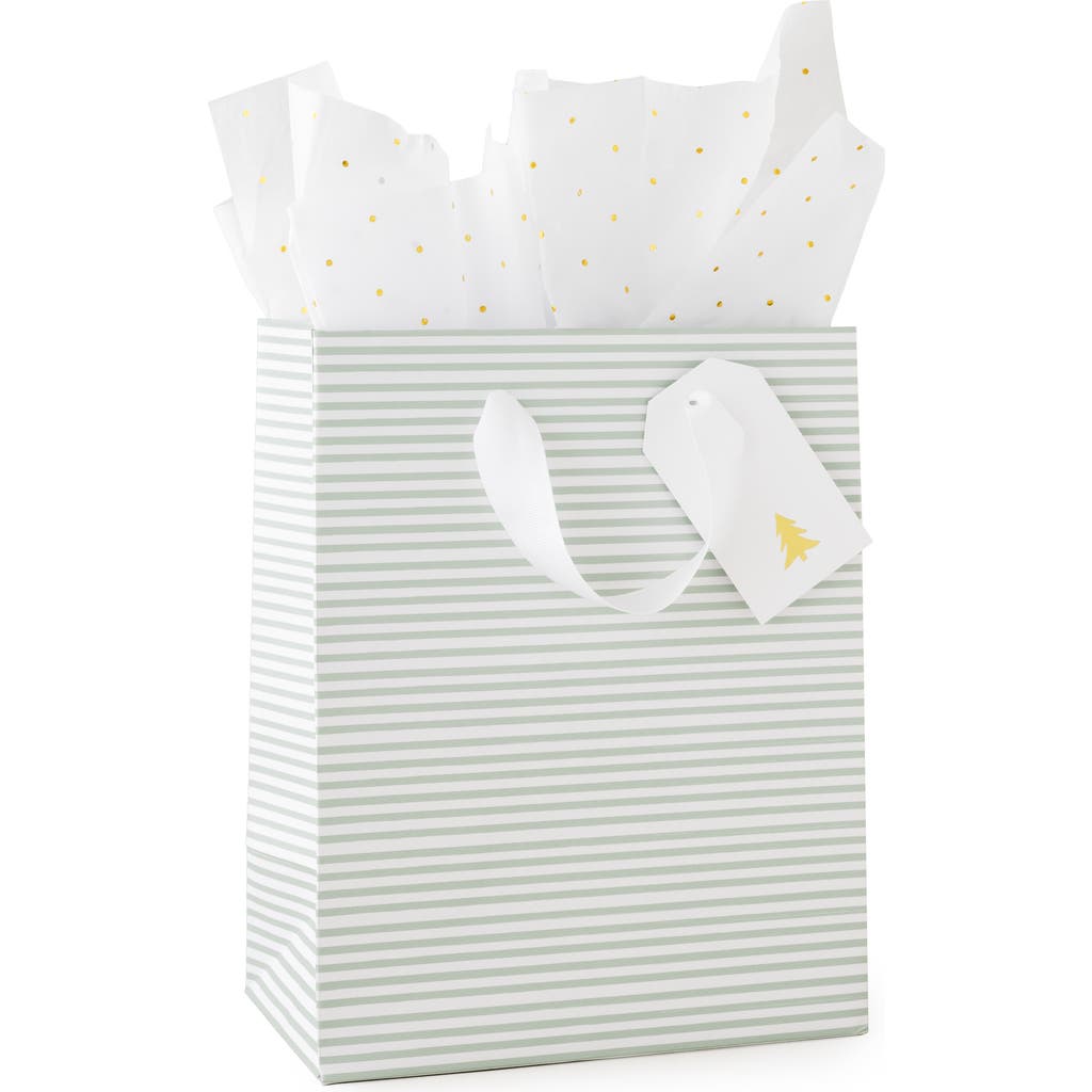 Sugar Paper Gift Bag Set in Green Stripe  product