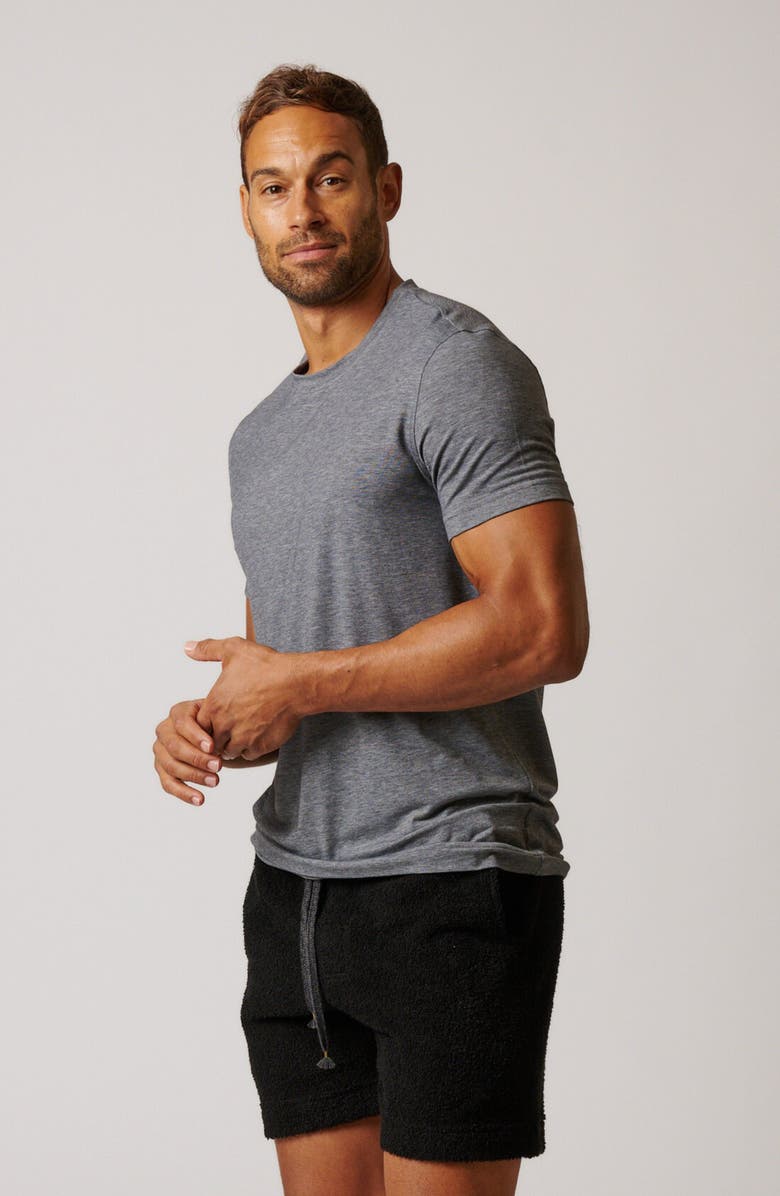 LEISURE LAB Everyday T-Shirt, Alternate, color, Stone