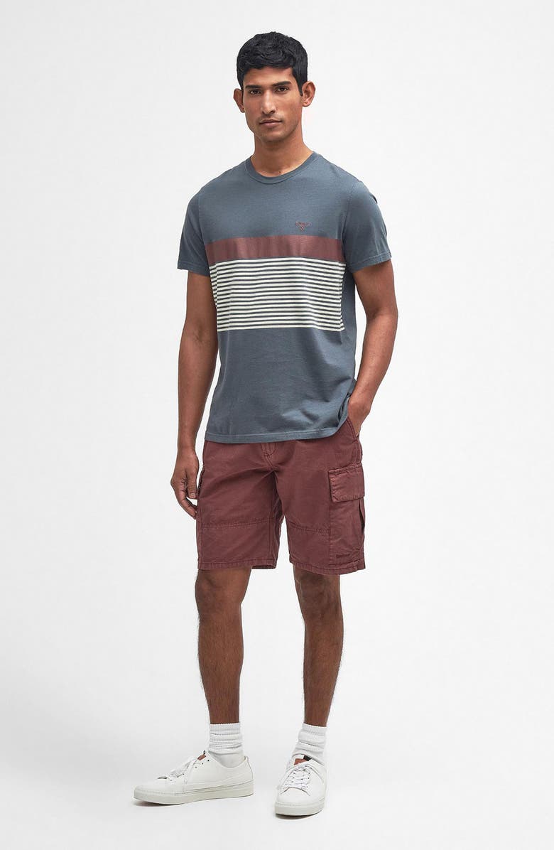 Barbour Braeside Stripe T-Shirt, Alternate, color, 