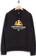 The North Face Evolution Graphic Hoodie