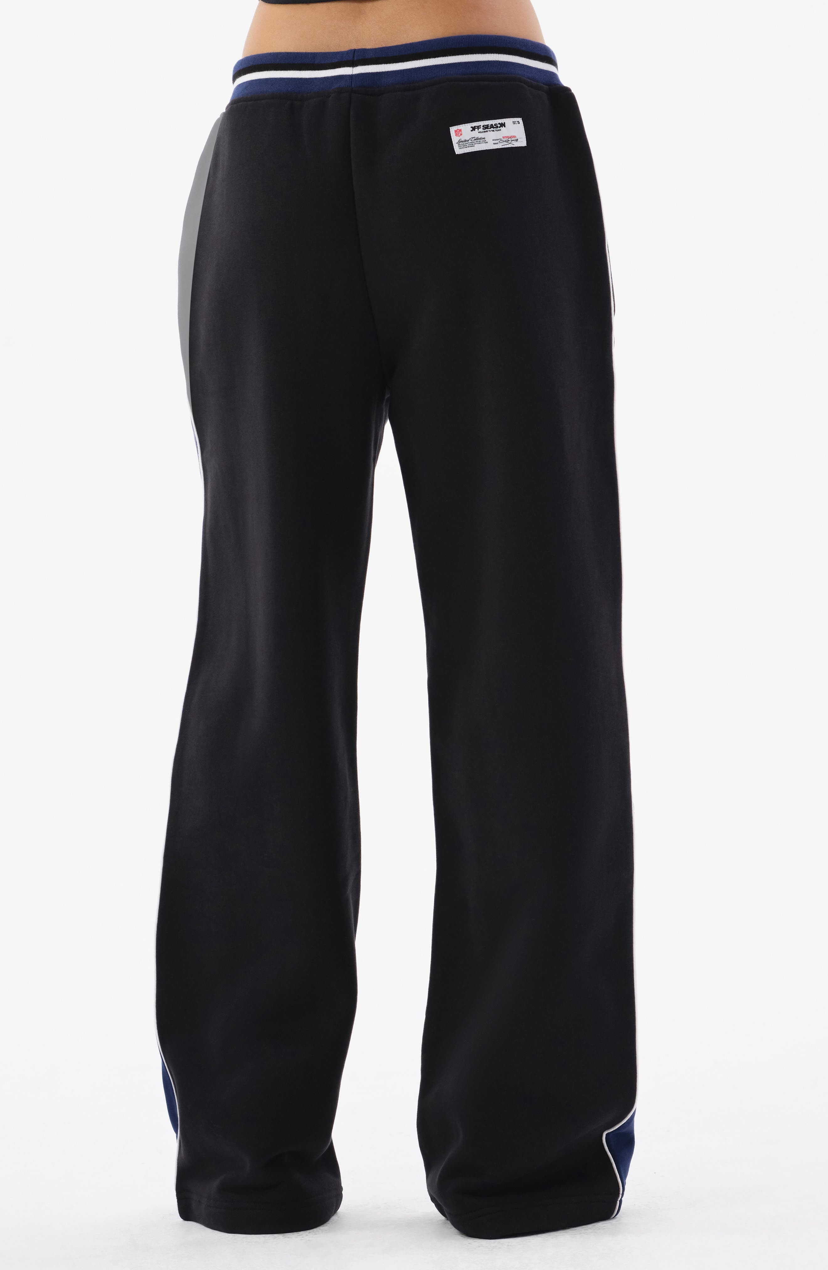 Off Season Colorblocked Fleece Straight Leg Pants (Women) | Nordstrom