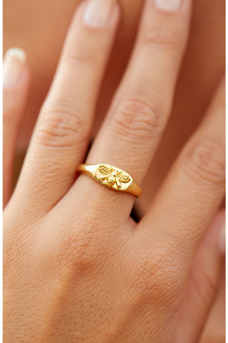 14K Gold Plated Bee Signet Ring, Alternate, color, GOLD