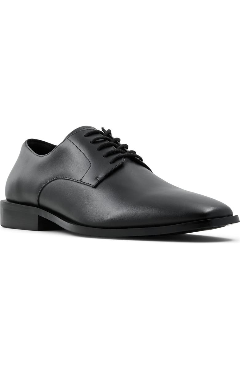 ALDO Dedovo Derby, Main, color,