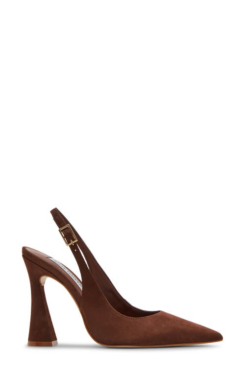 Steve Madden Blare Slingback Pointed Toe Pump In Brown