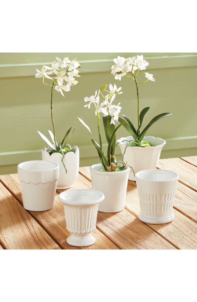 Napa Home & Garden Mirabelle Mini Cachepots Set Of 6, Alternate, color, White