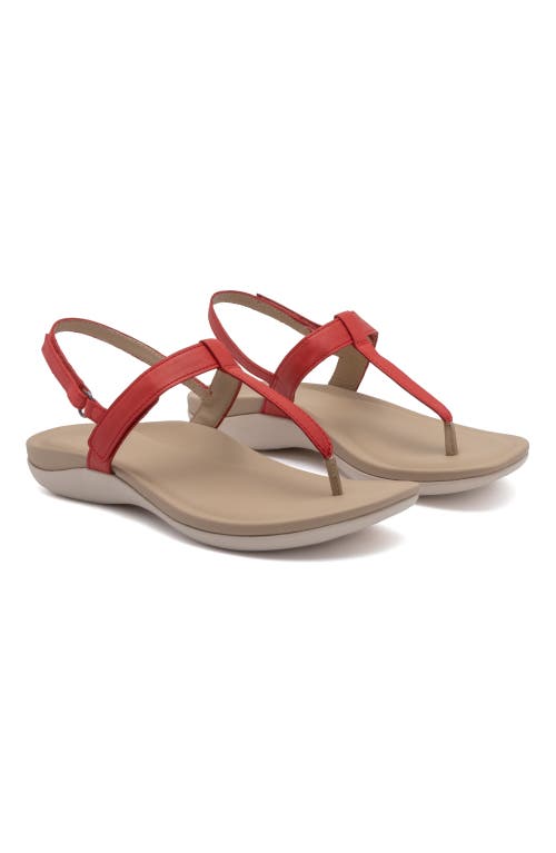 ABEO ABEO OASIS T STRAP SANDAL