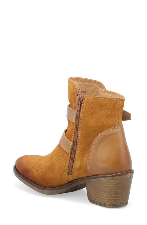 Miz Mooz Dayla Moto Bootie In Wheat Suede