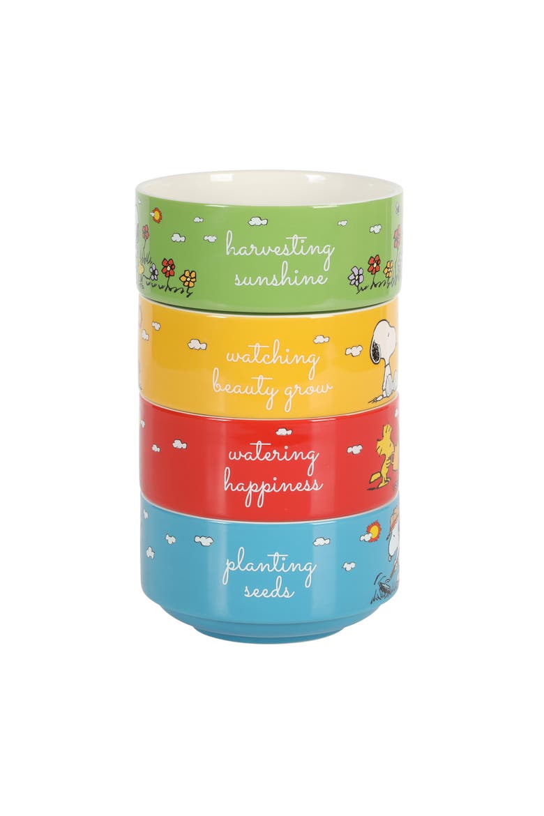 Snoopy's Garden Patch Stackable Stoneware Bowl Set, Main, color, Assorted Colors